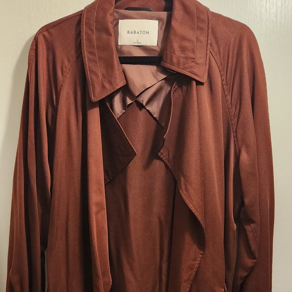 Aritzia Babaton Lawson Trench Coat